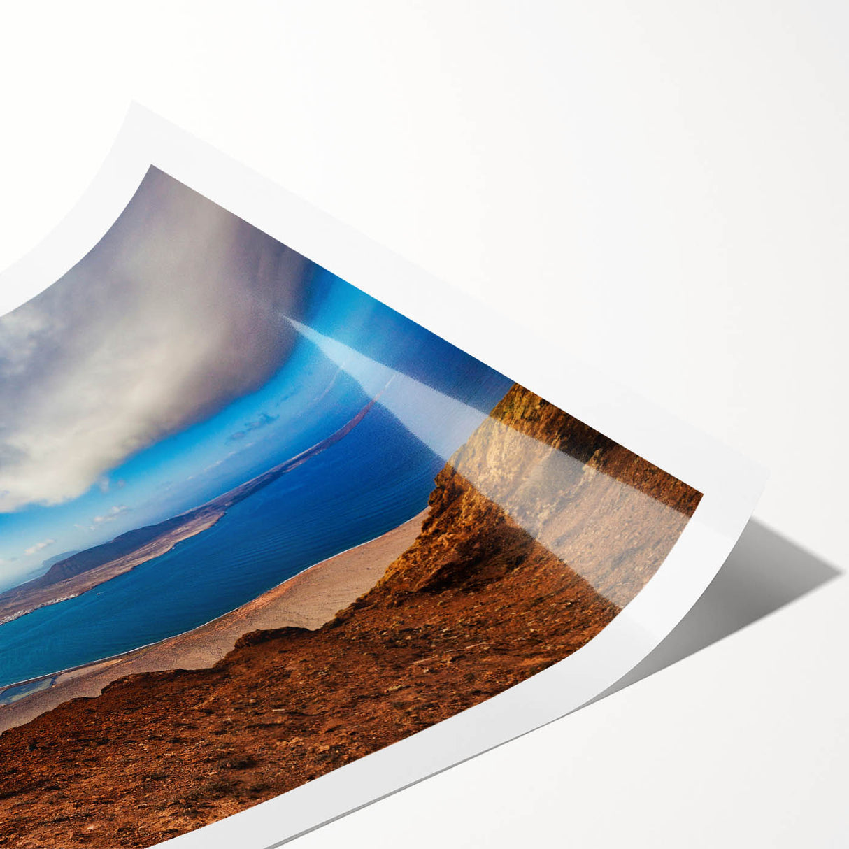 Extra large wall art featuring line art flowers in muted earth tones on a rolled canvas.