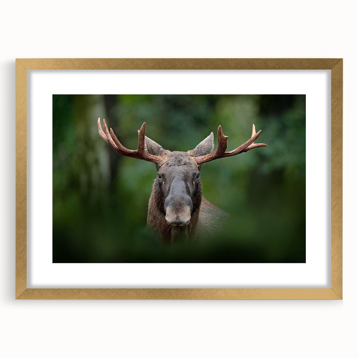 Extra large abstract art print of a serene European landscape in muted blue and green tones, framed in gold.