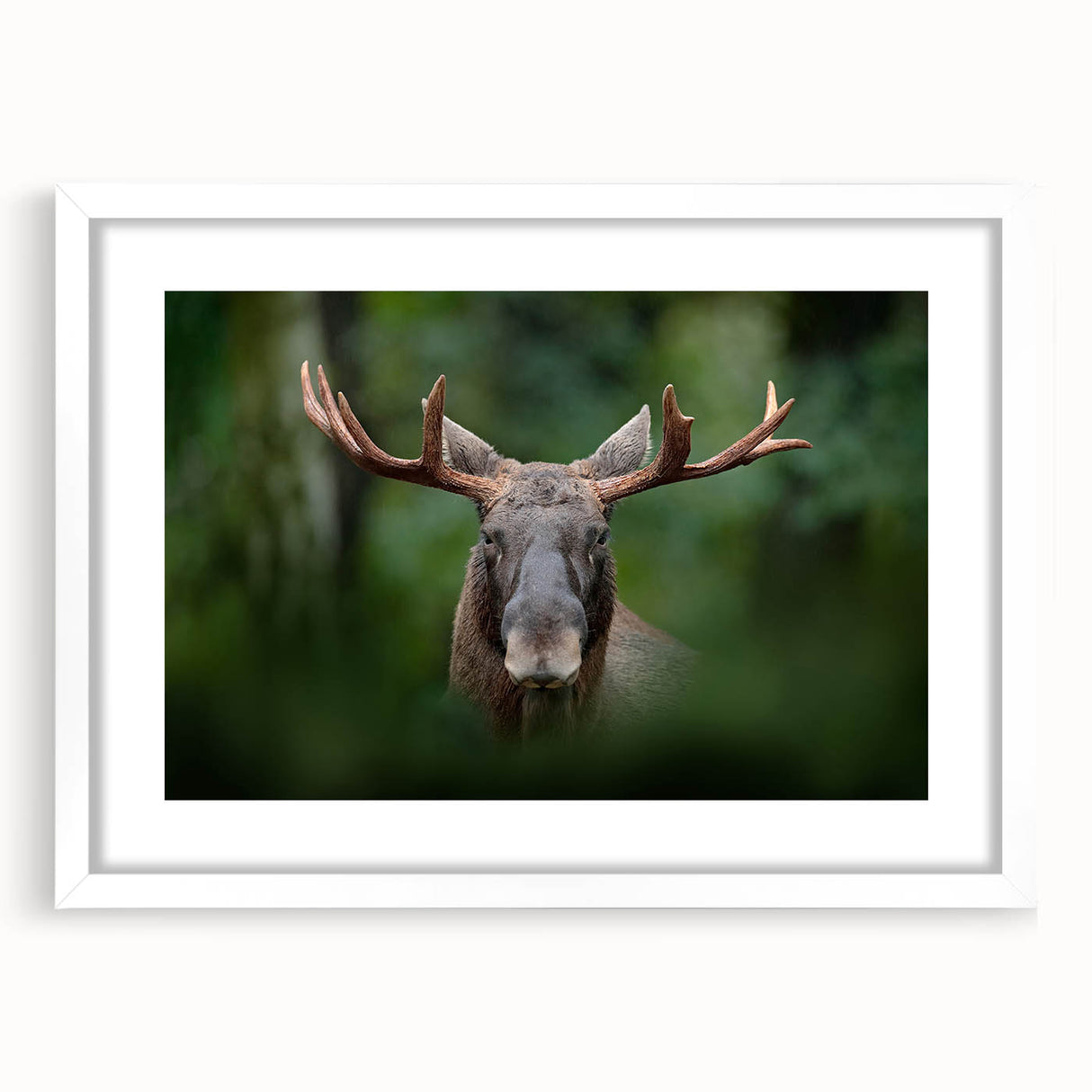 Abstract art print of a serene Swedish landscape in soft blue and white tones, framed with a white mat.