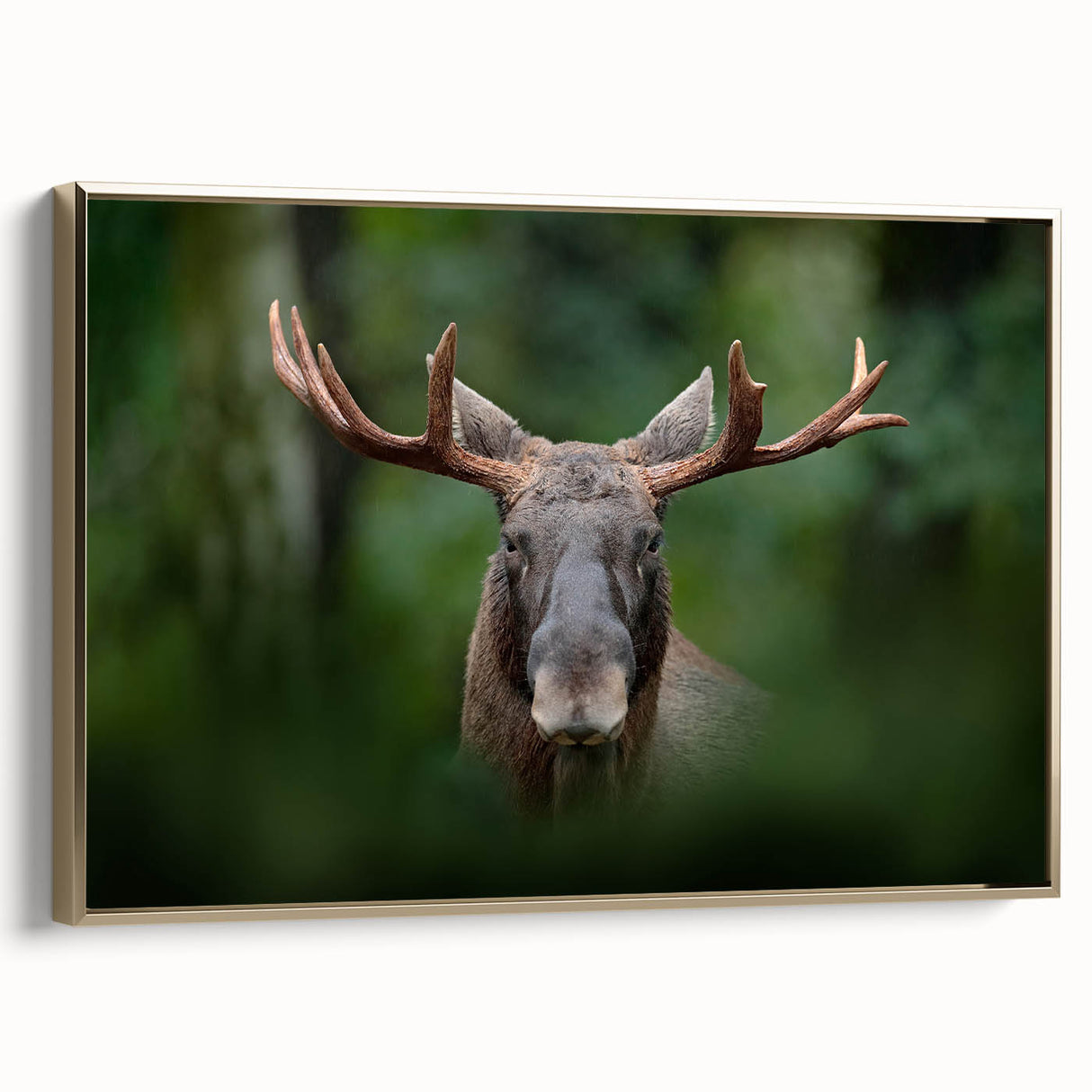 Framed canvas of a vintage-style Swedish landscape in muted gold and black tones, ideal for bedroom wall decor.