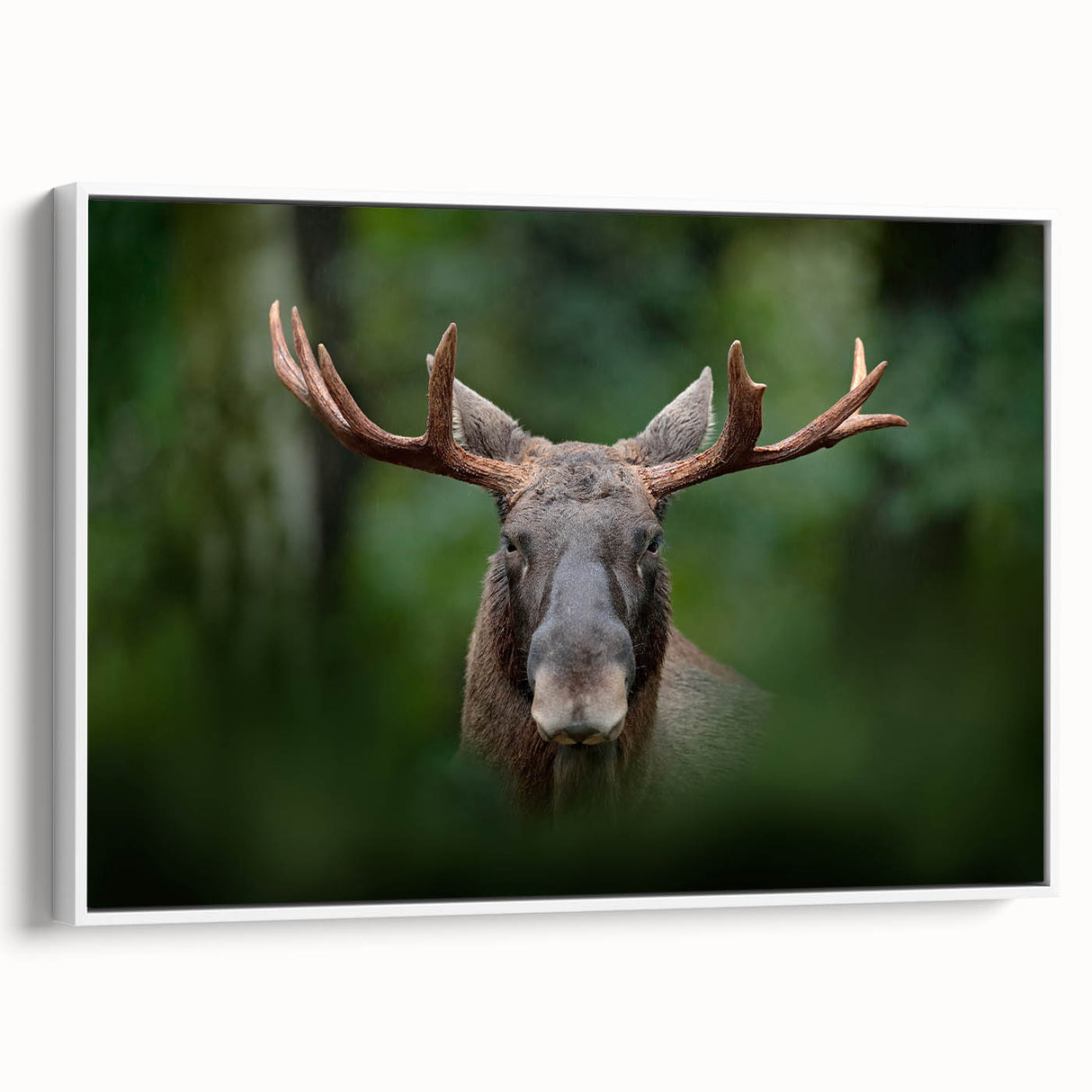 Vintage poster art of a scenic European landscape, rendered in colorful hues on a large framed canvas.