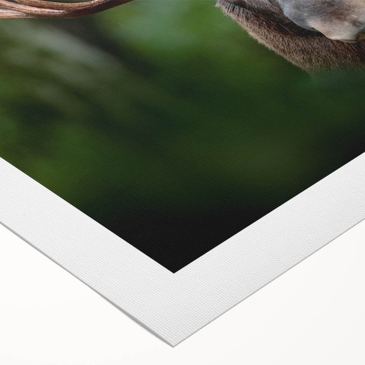 Art deco poster featuring a serene Swedish landscape in muted blue and green tones on rolled canvas.