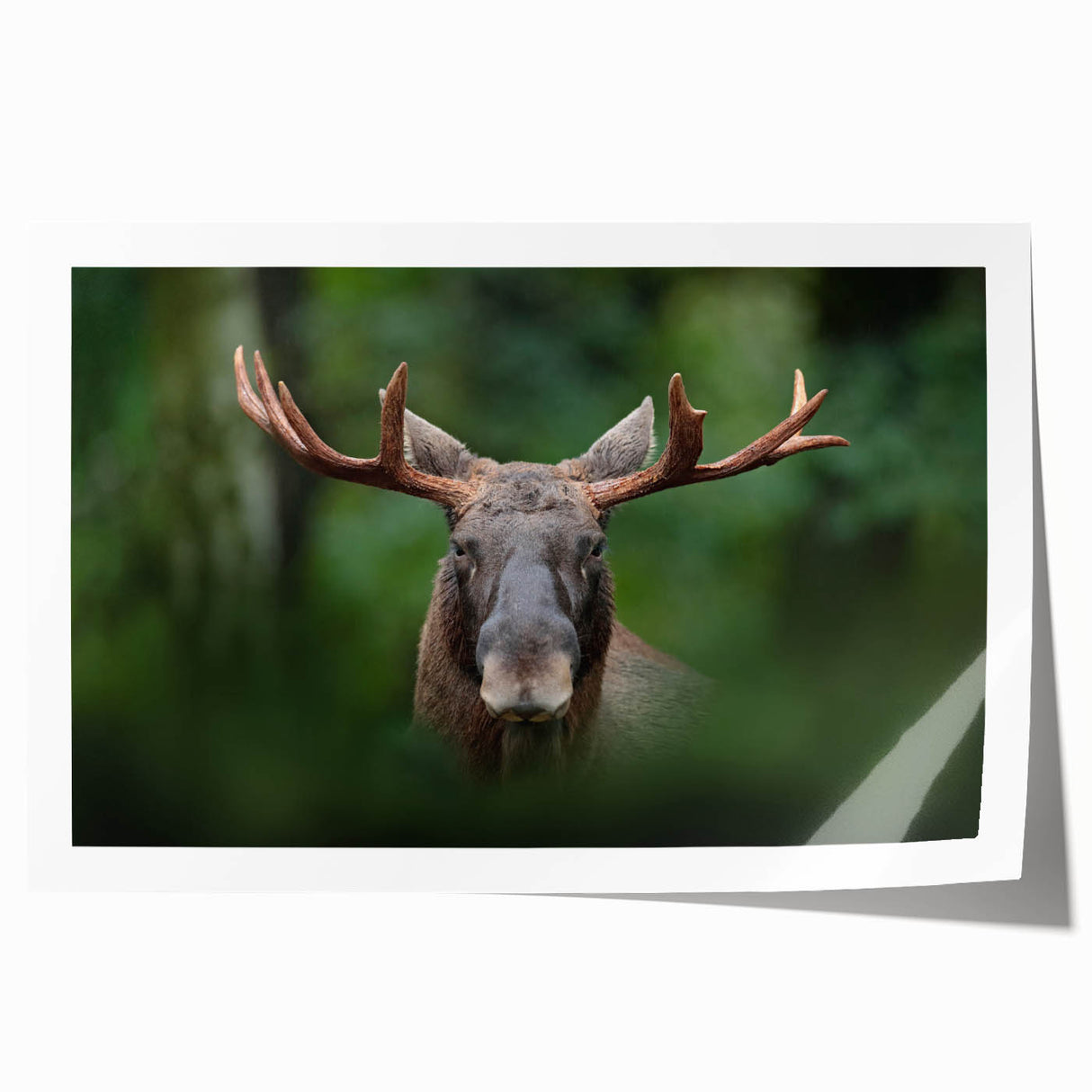 European landscape with floral elements in muted green and blue tones on a rolled canvas, suitable for dining room decor.