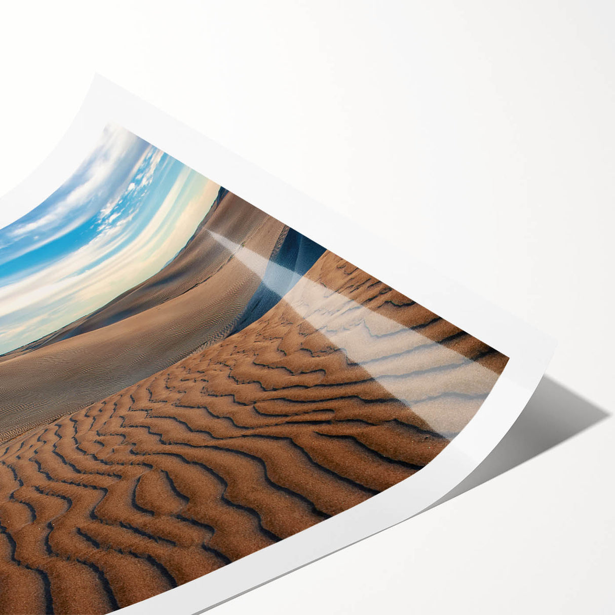 Extra large wall art featuring line art flowers in monochrome, ideal for a large living room, rolled print format.