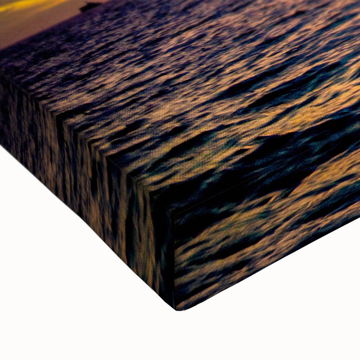 Large art of Cabo San Lucas landscape in black and white on stretched canvas, suitable for bedroom wall decor.