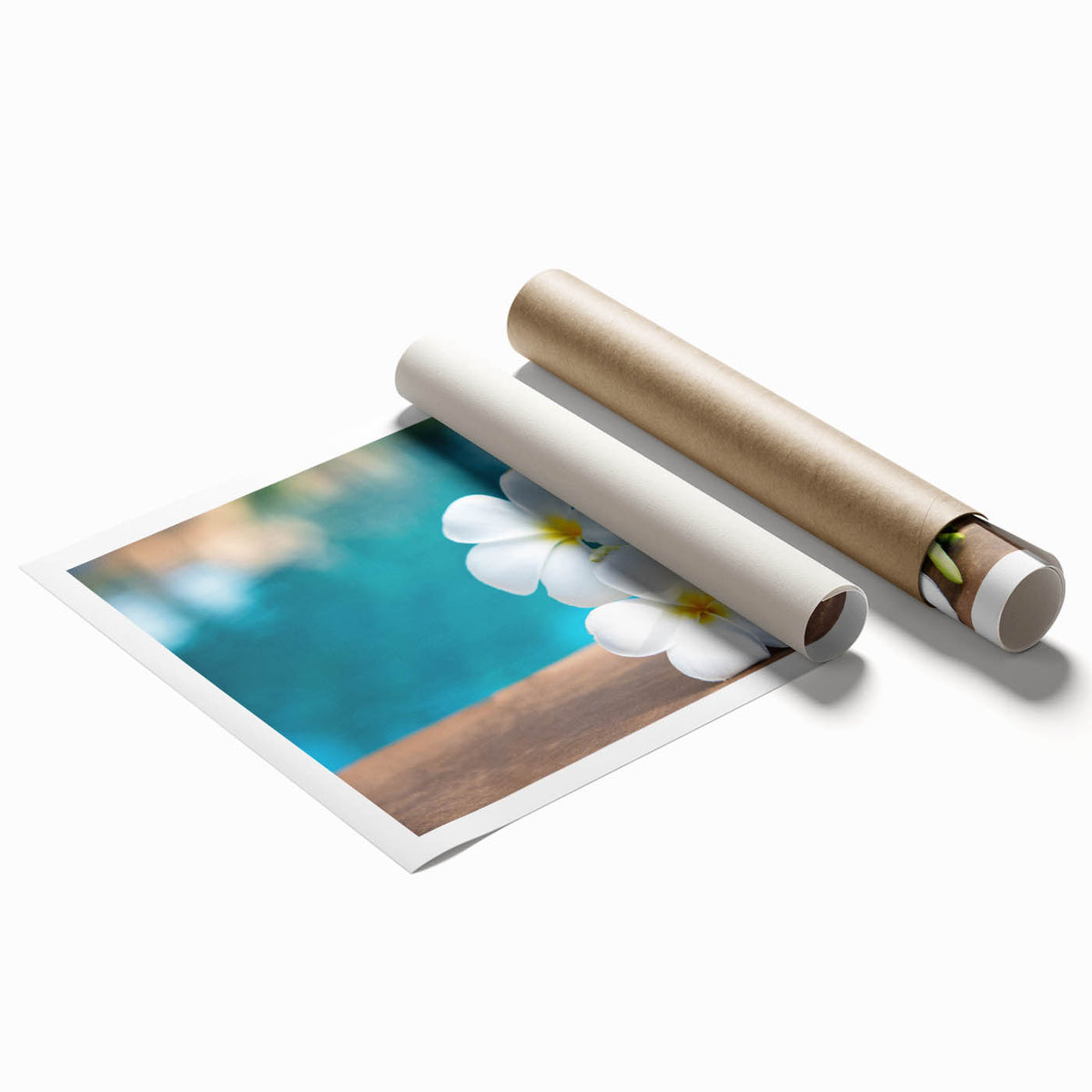 Extra large rolled print of Bora Bora scenery with vibrant ocean and sky tones, ideal for classy bathroom wall art.