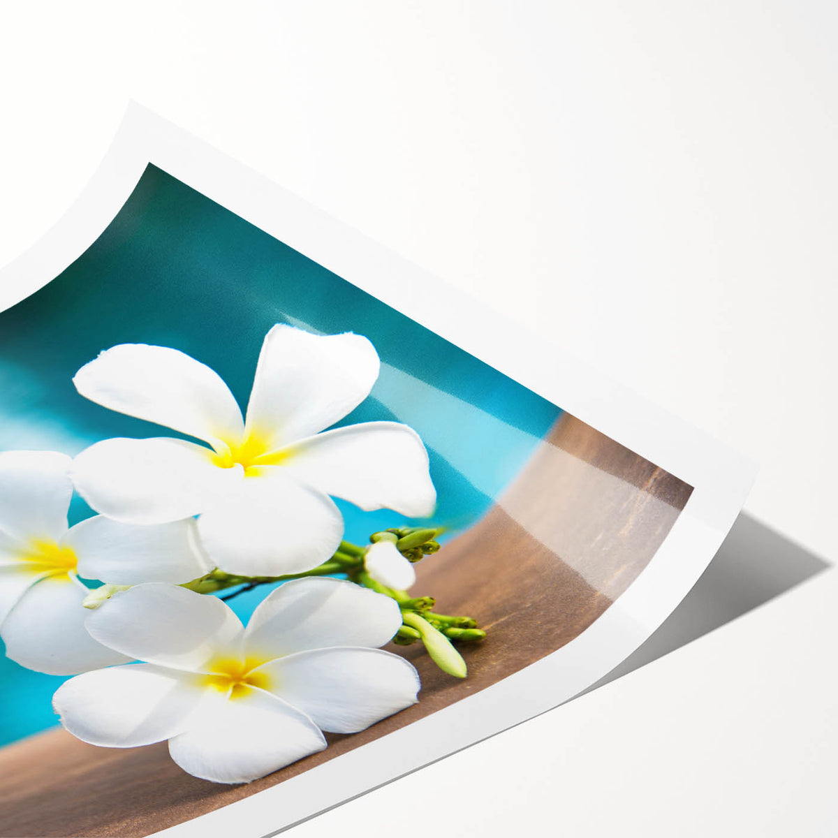 Extra large wall art featuring line art flowers in soft pastel shades on a rolled print.