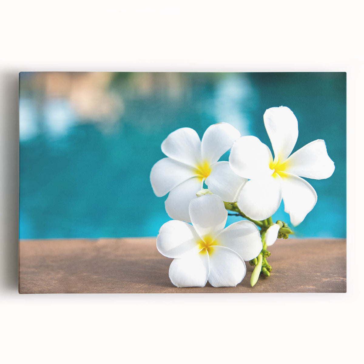 Black and white stretched canvas of Bora Bora scenery, ideal for kitchen wall art.