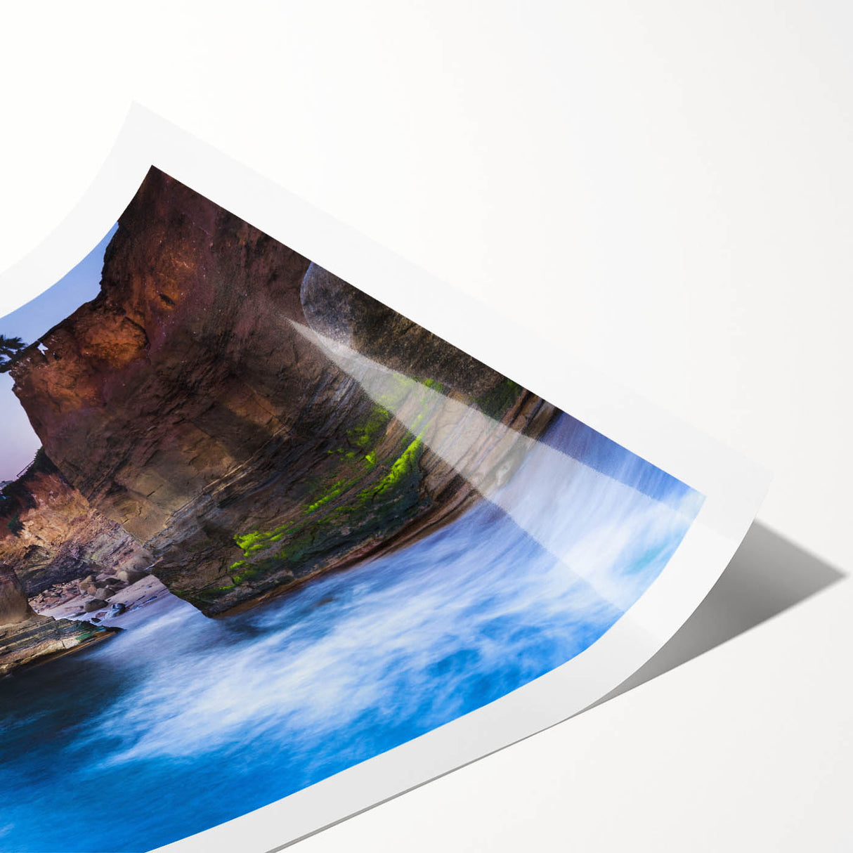 Extra large rolled print featuring line art flowers in muted earth tones, ideal for large living room wall art.