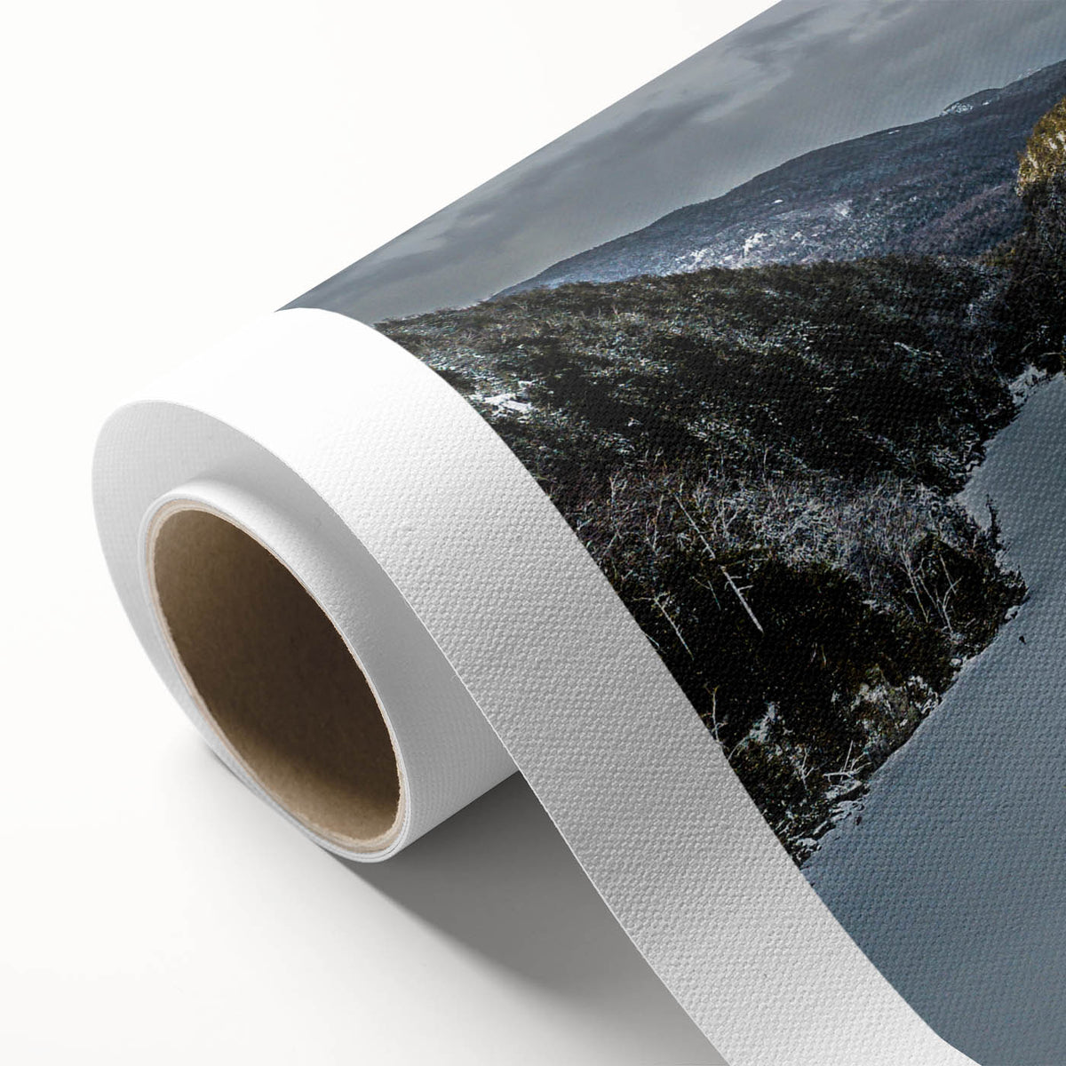 Art deco poster of Adirondack scenery in muted green and blue tones on rolled canvas.