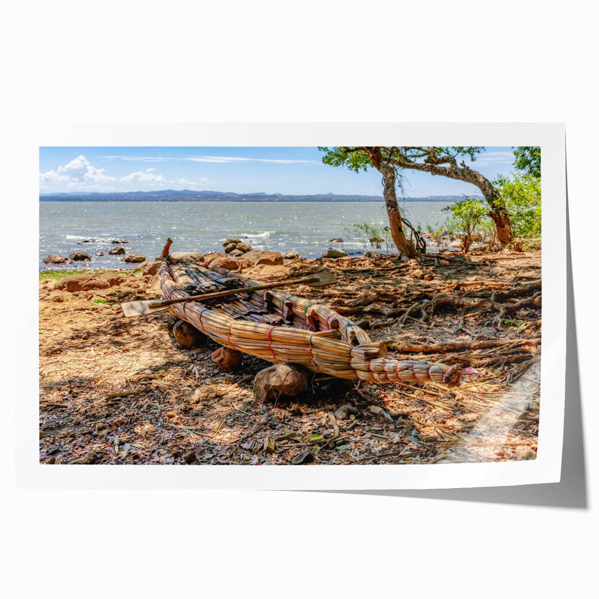 Extra large rolled print of Ethiopian scenery with vibrant floral elements, ideal for art wall dining room.