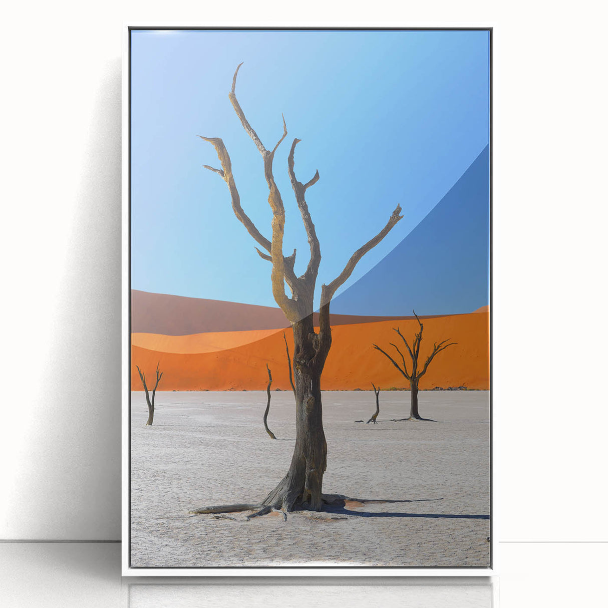 Art deco poster of an African scenery in Namibia, with muted earth tones on framed acrylic.