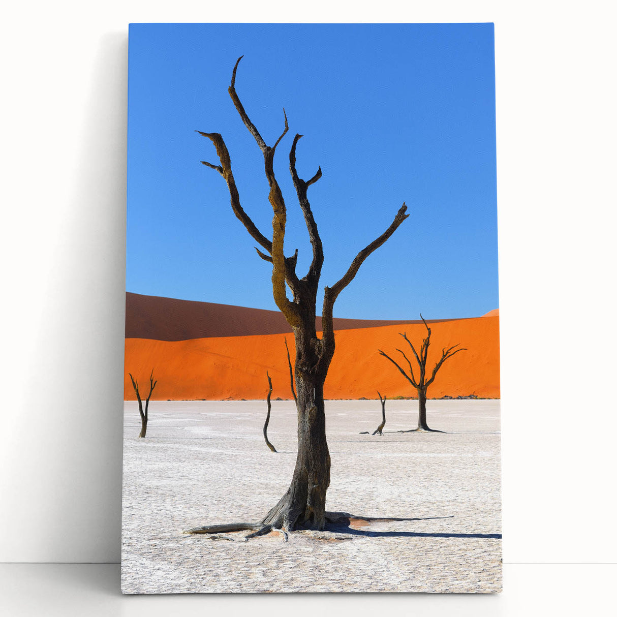Large black and white stretched canvas featuring a Namibian landscape, ideal for kitchen wall art.