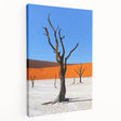 Side view of a large stretched canvas depicting a Namibian landscape in earthy tones, ideal for kitchen wall art.