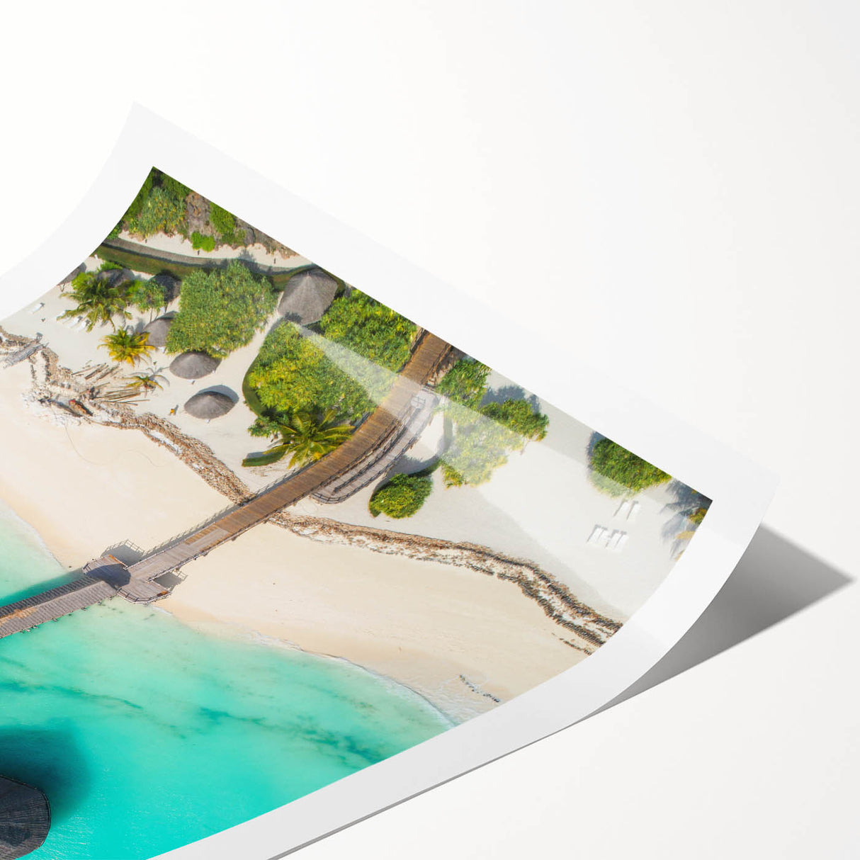 Extra large rolled print of line art flowers with earth-toned colors, ideal for large living room wall art.