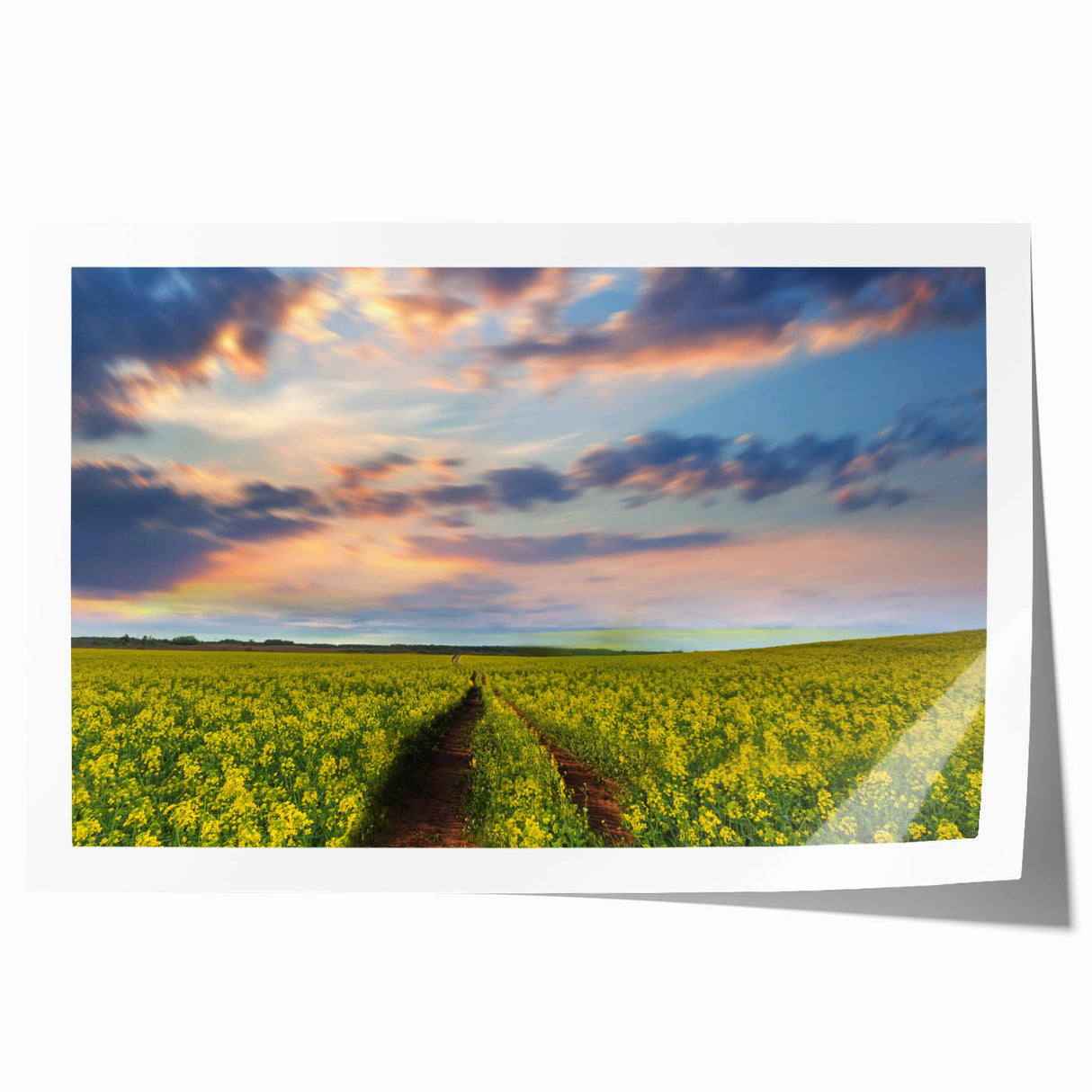 Extra large rolled print of a Bangladesh scenery with vibrant floral elements, ideal for art wall dining room.