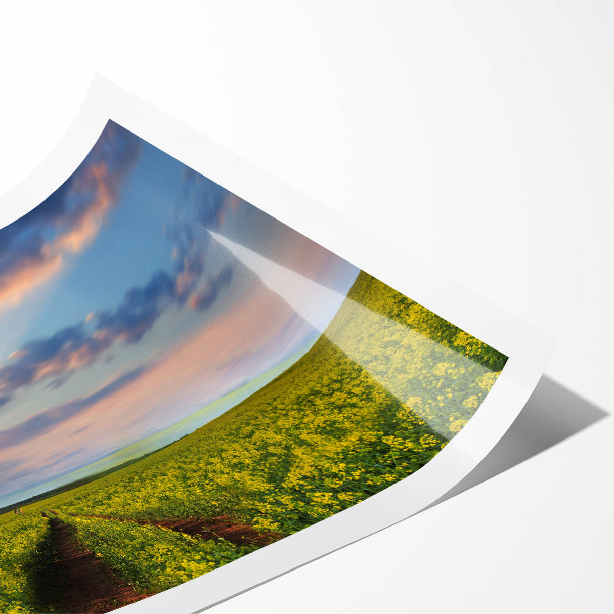 Extra large rolled print featuring line art flowers in monochrome, ideal for large living room wall art.