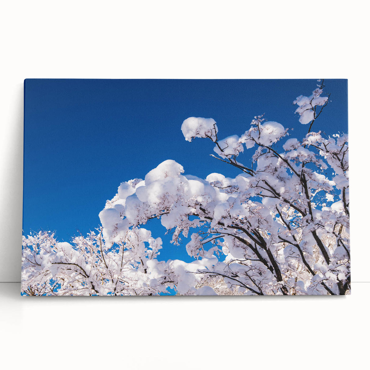 Black and white photograph of a serene Korean landscape on large stretched canvas.