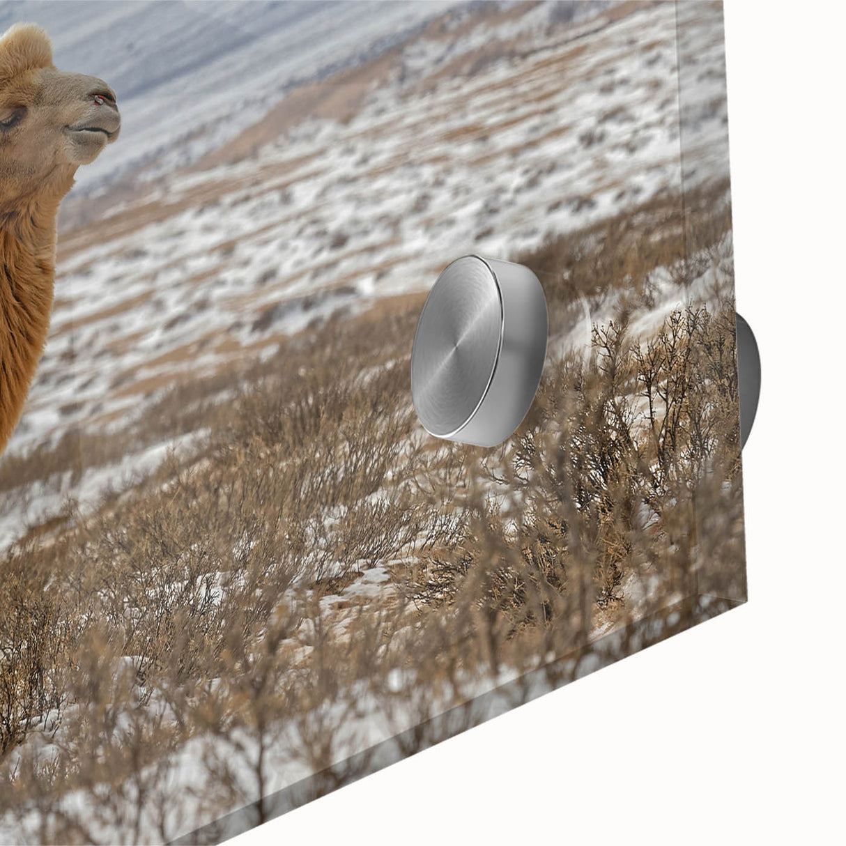 Large abstract wall art depicting a Mongolian landscape in muted earth tones on acrylic glass.