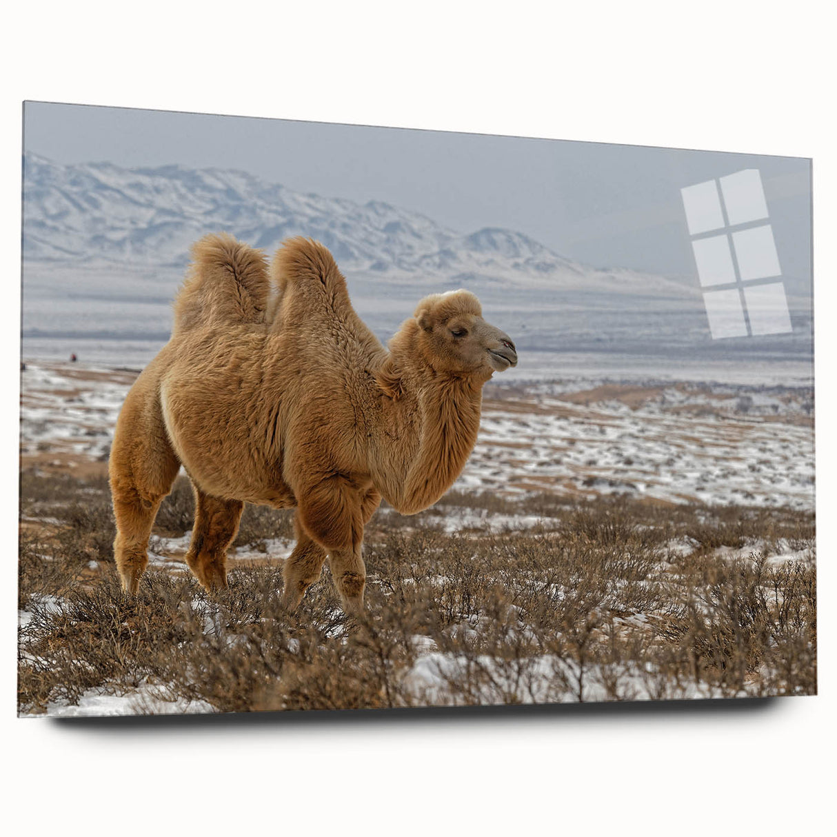 Large abstract wall art depicting a Mongolian landscape in muted earth tones on acrylic glass.