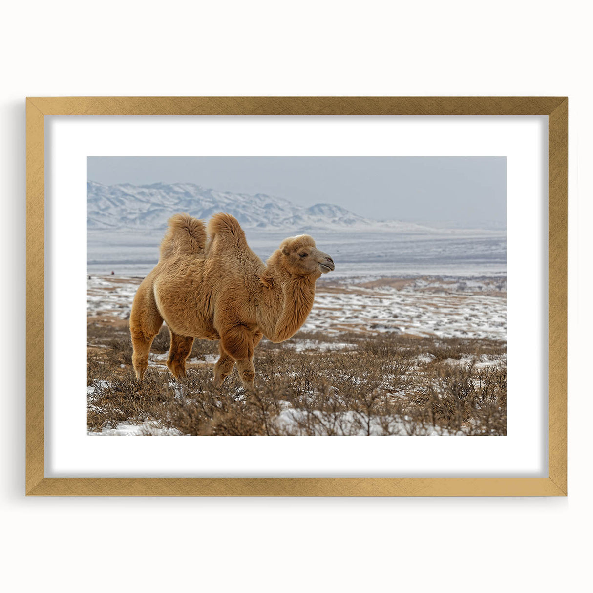 Extra large abstract art print depicting a textured Mongolian landscape in earth tones, framed in gold.