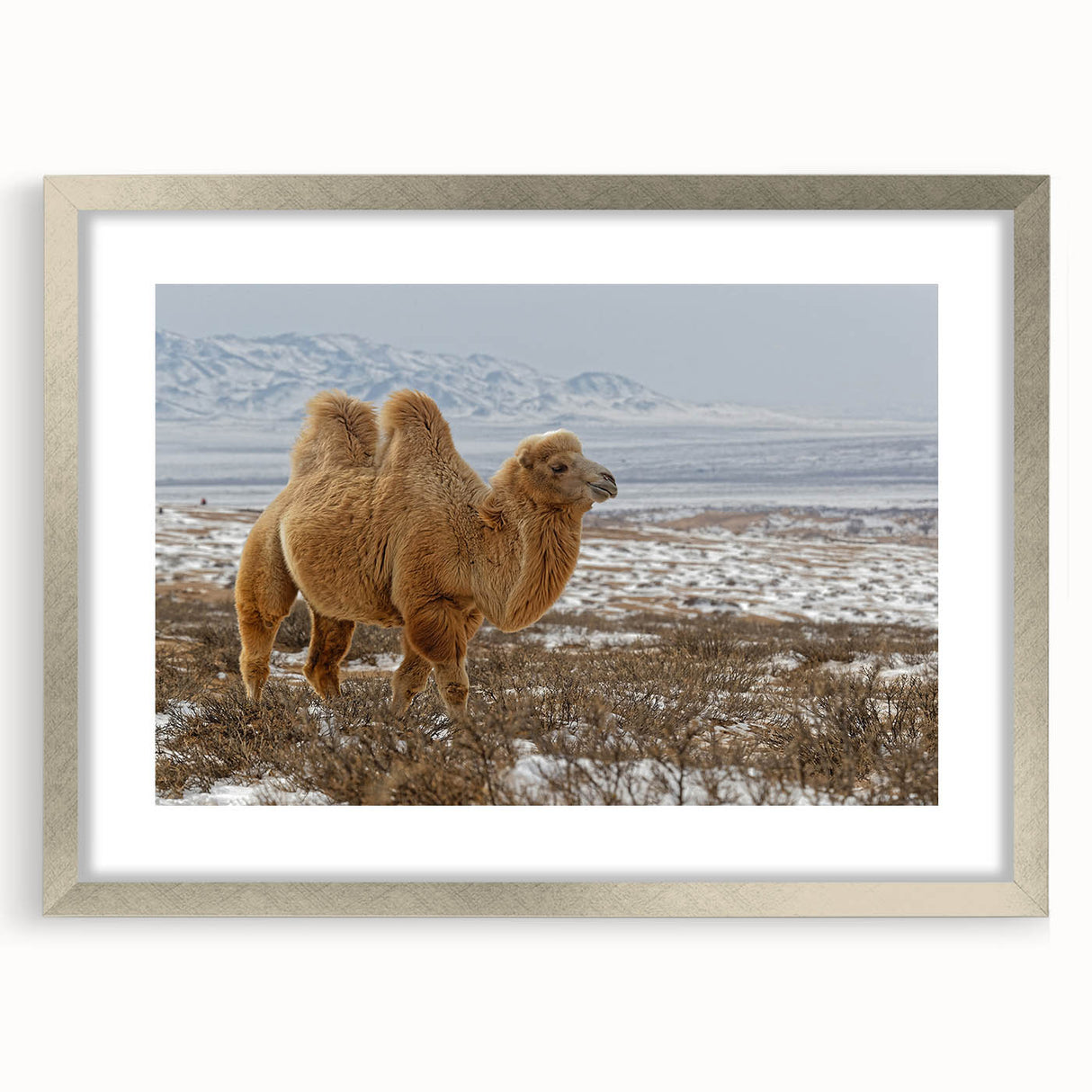 Textured abstract art print of a Mongolian landscape in muted earth tones on a framed silver mat, suitable for bedroom decor.