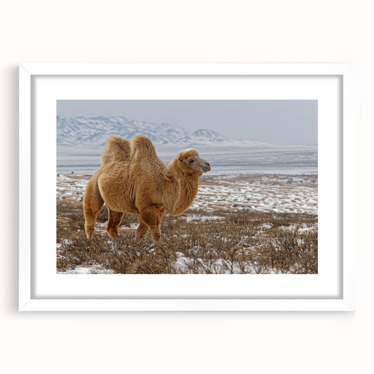 Abstract art print of a Mongolian landscape in muted earth tones on a framed white mat.