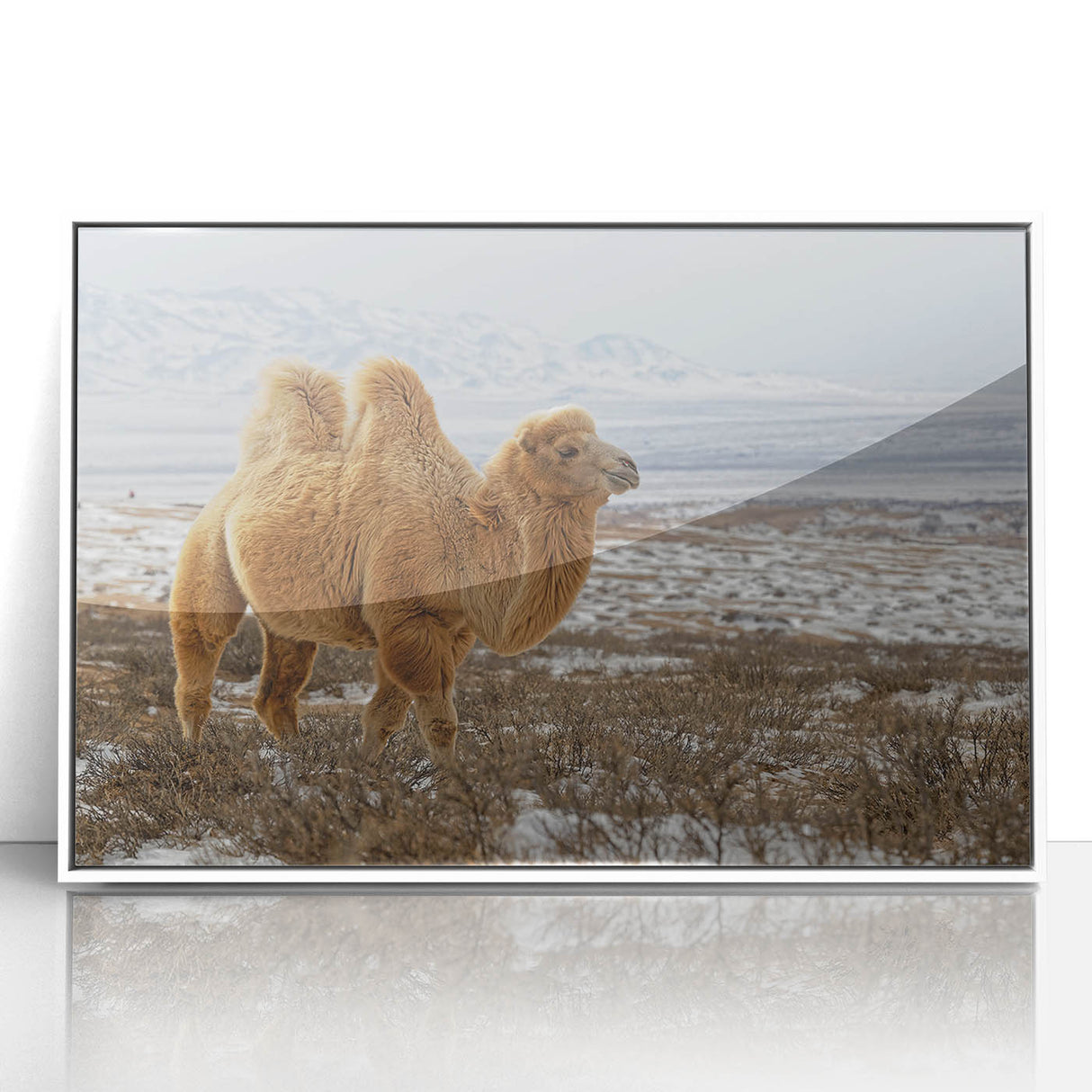 Acrylic print of a Mongolian landscape in muted earth tones, framed in white, suitable for modern art wall decor.