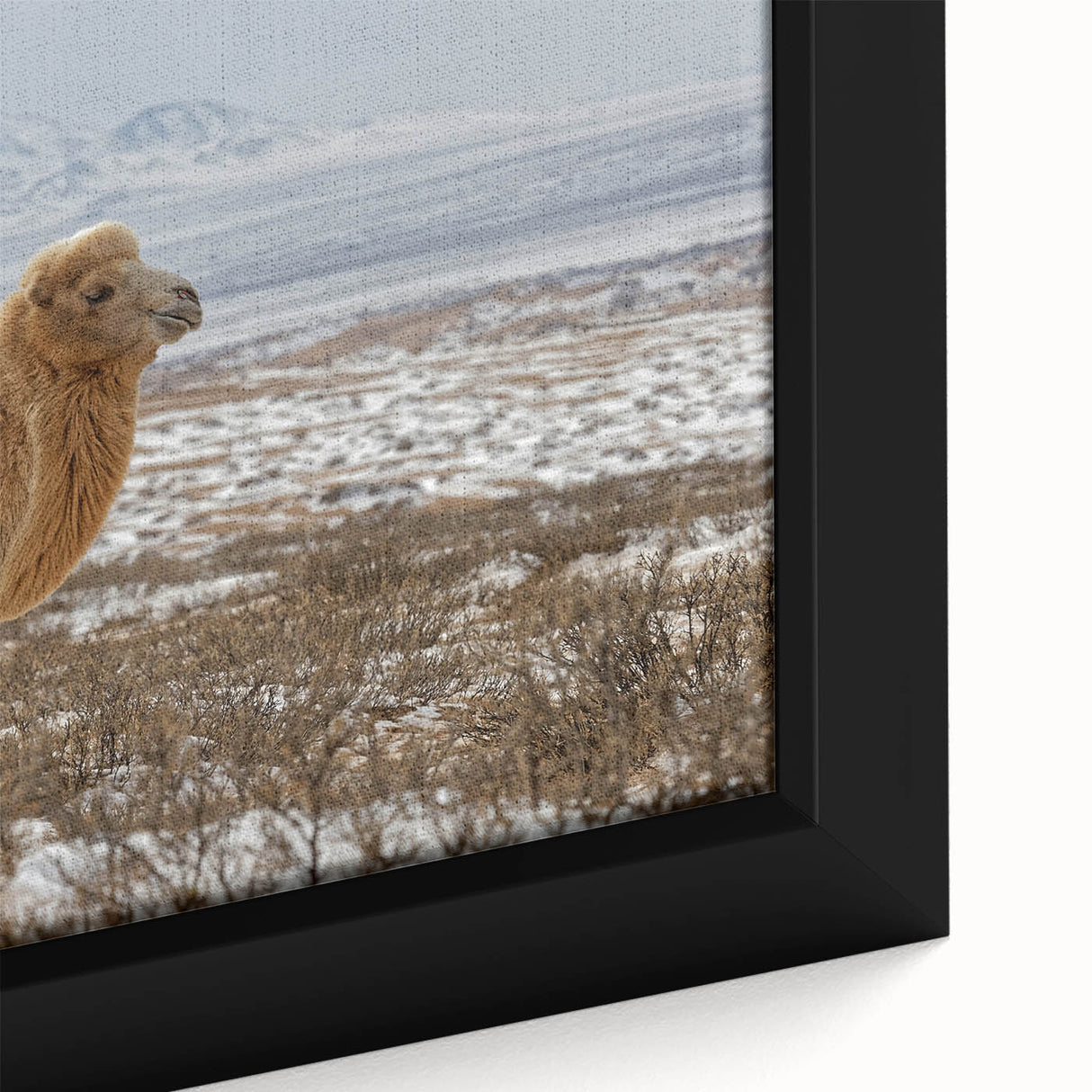 Framed canvas featuring a textured, colorful Mongolian landscape in extra large size, ideal for living room decor.