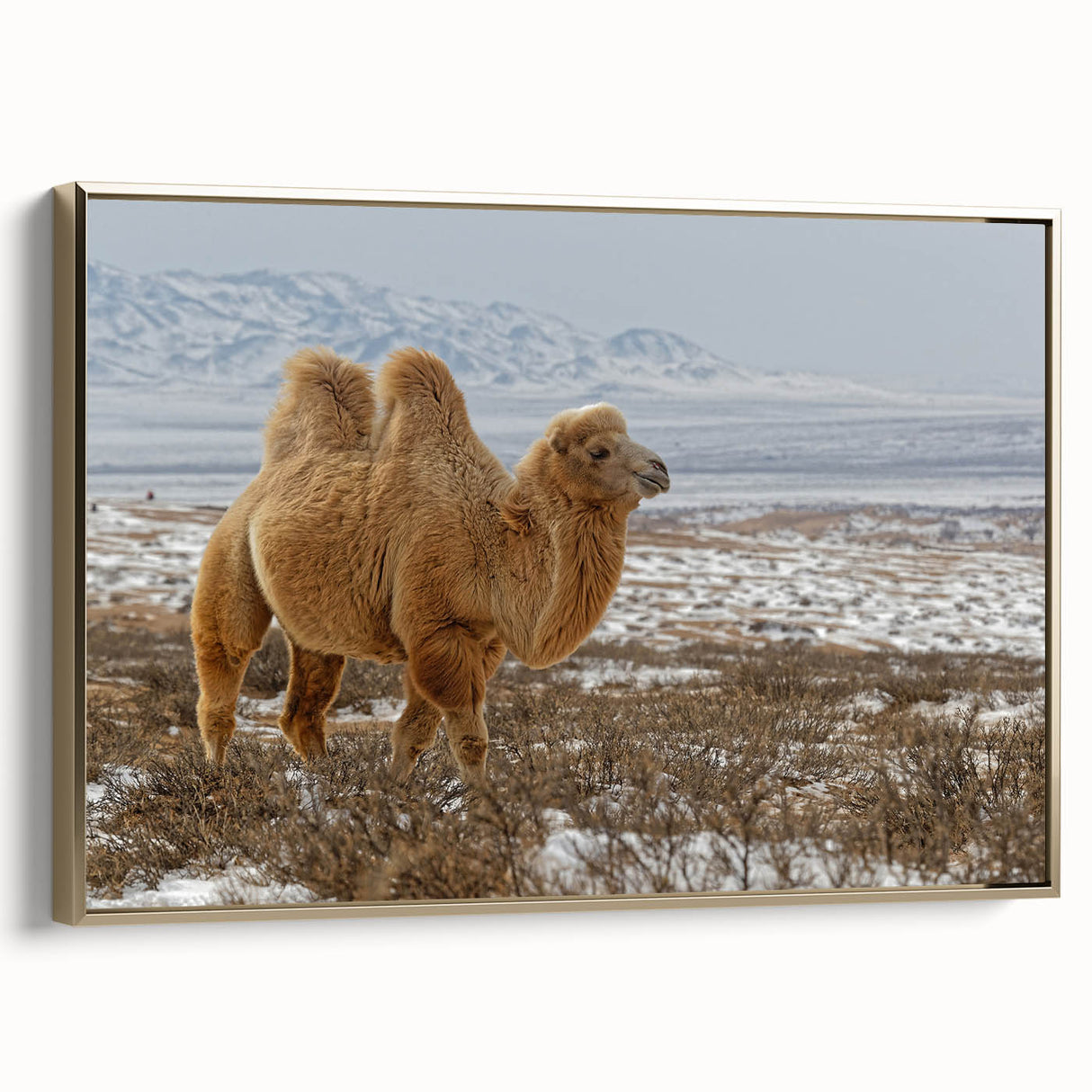 Framed canvas depicting a vintage-style Mongolian landscape in muted gold and black tones, ideal for bedroom wall art.