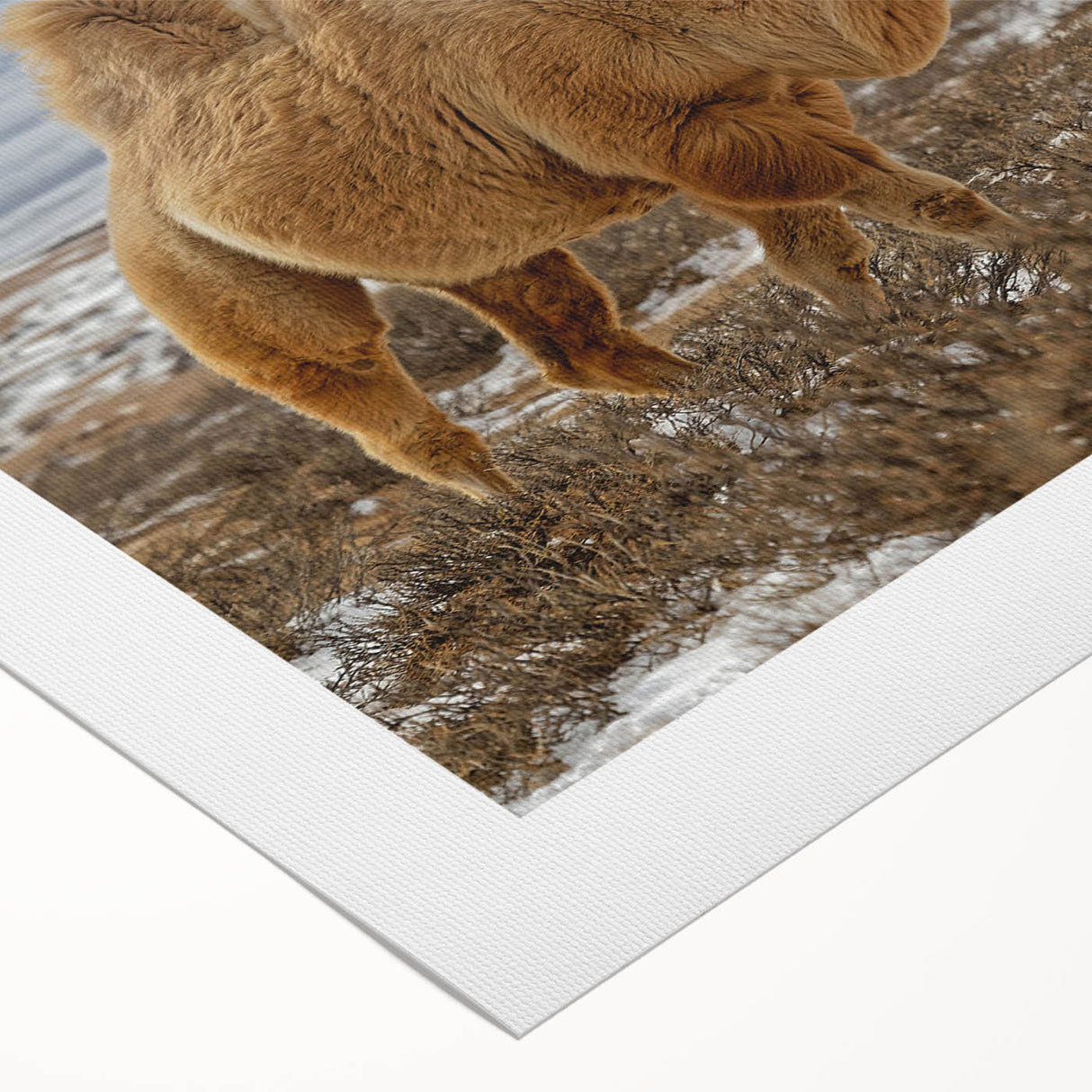 Art deco poster of a Mongolian landscape in muted earth tones on rolled canvas, suitable for dining room wall art.