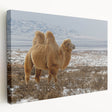 Landscape painting of Mongolian steppe on stretched canvas, featuring muted earth tones, ideal for kitchen wall art.