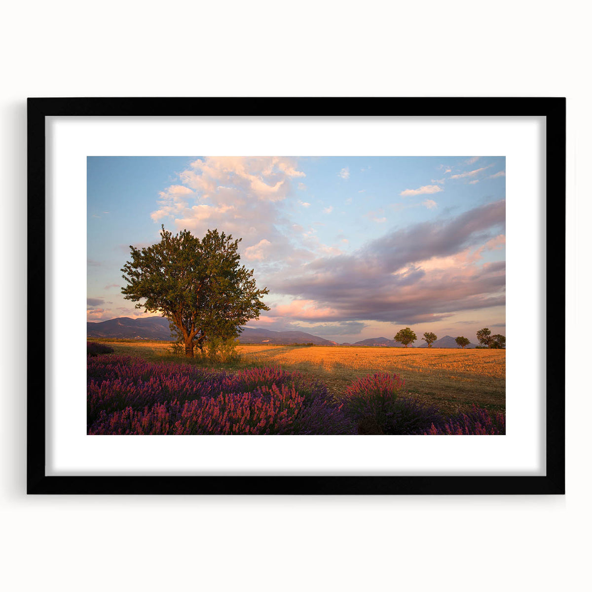 Colorful abstract art print featuring textured brushstrokes in vibrant hues, framed in black.