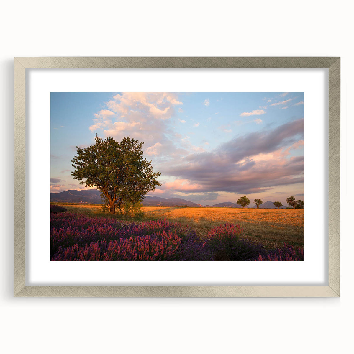Extra large abstract art print of a textured French landscape in muted earth tones, framed in silver.