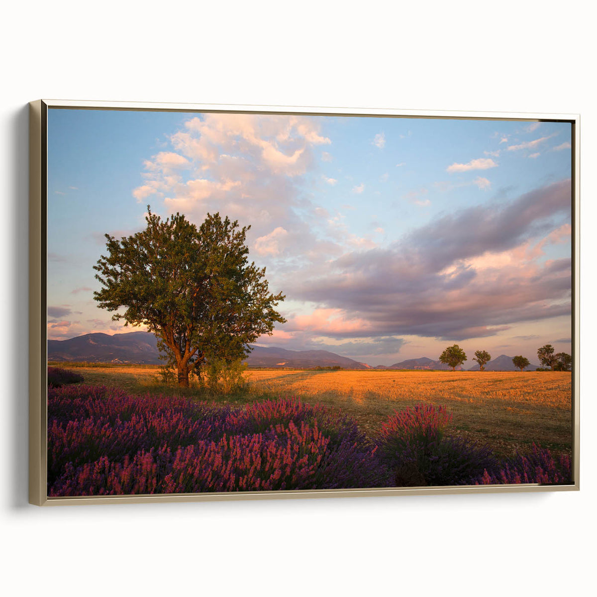 Framed canvas depicting a vintage-style landscape of southern France in muted gold and black tones.