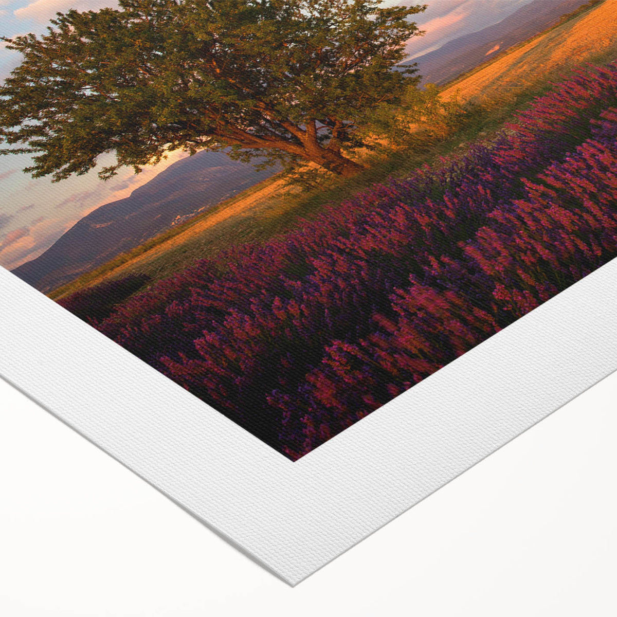 Art deco poster of a South France scenery in muted earth tones on rolled canvas, suitable for dining room decor.