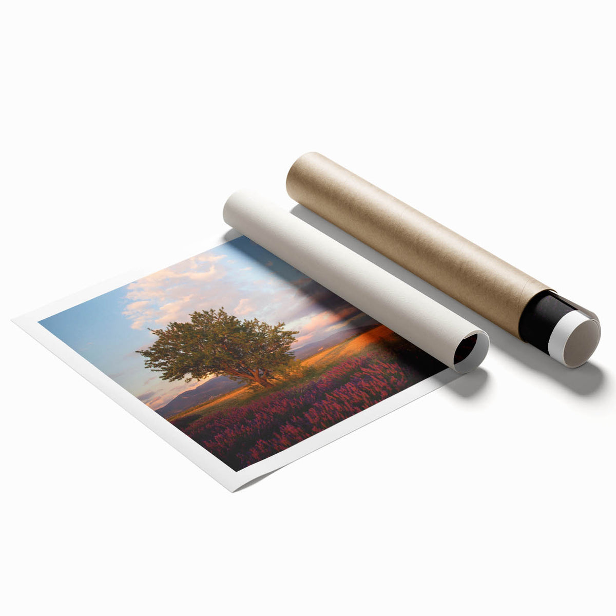 Extra large rolled print of a serene French southern landscape with soft floral elements in pastel colors.