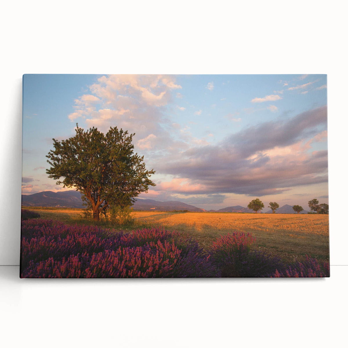Large black and white photo of a scenic European village on stretched canvas, suitable for kitchen wall art.