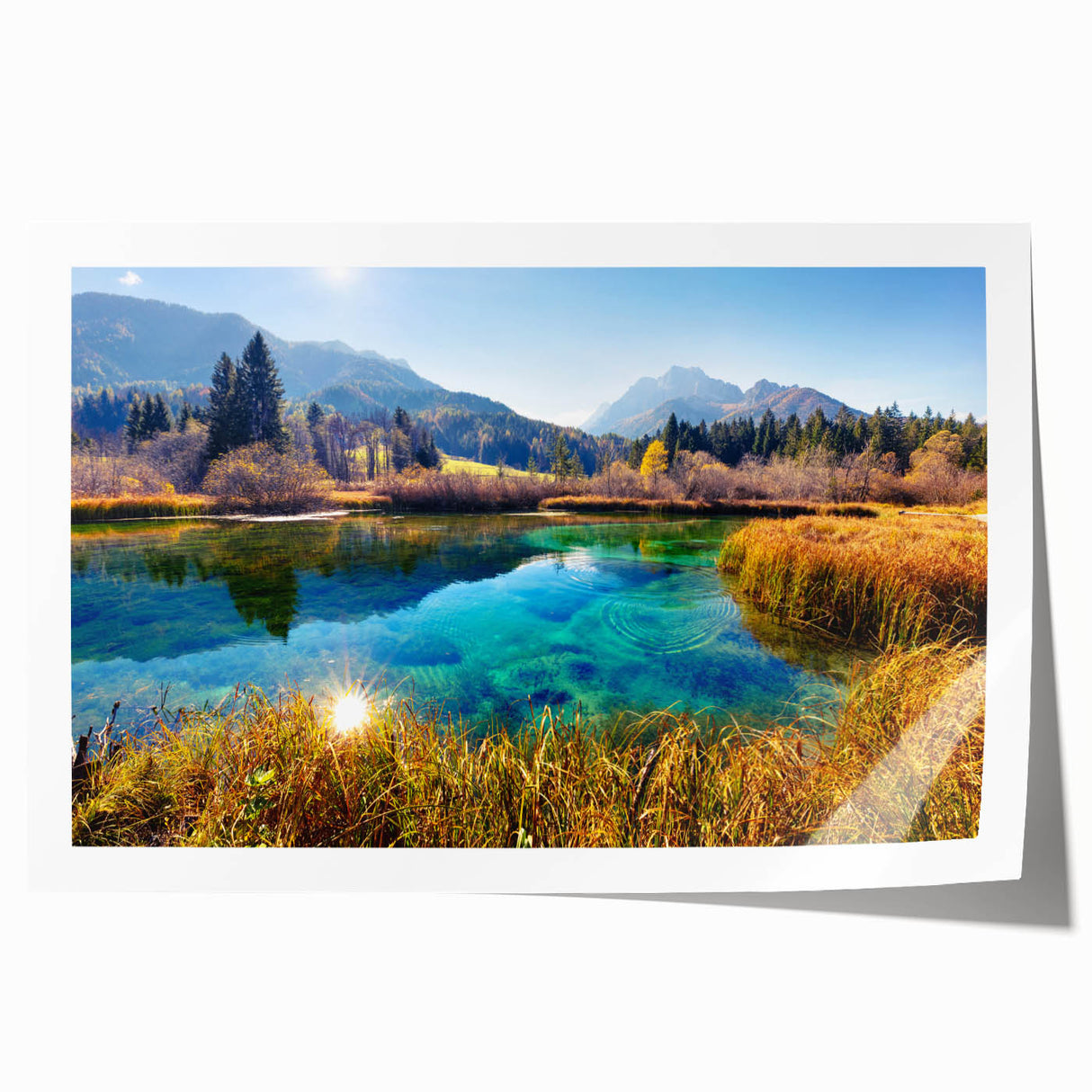 Scenic Slovenian landscape on rolled print, with lush greenery and vibrant floral details.