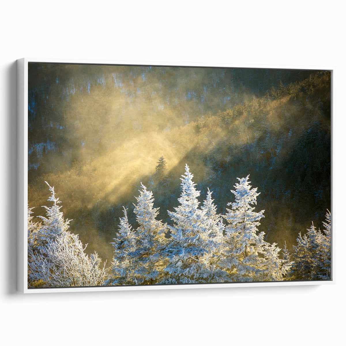 Vintage poster art of Blue Ridge, North Carolina on framed canvas, featuring a colorful palette.