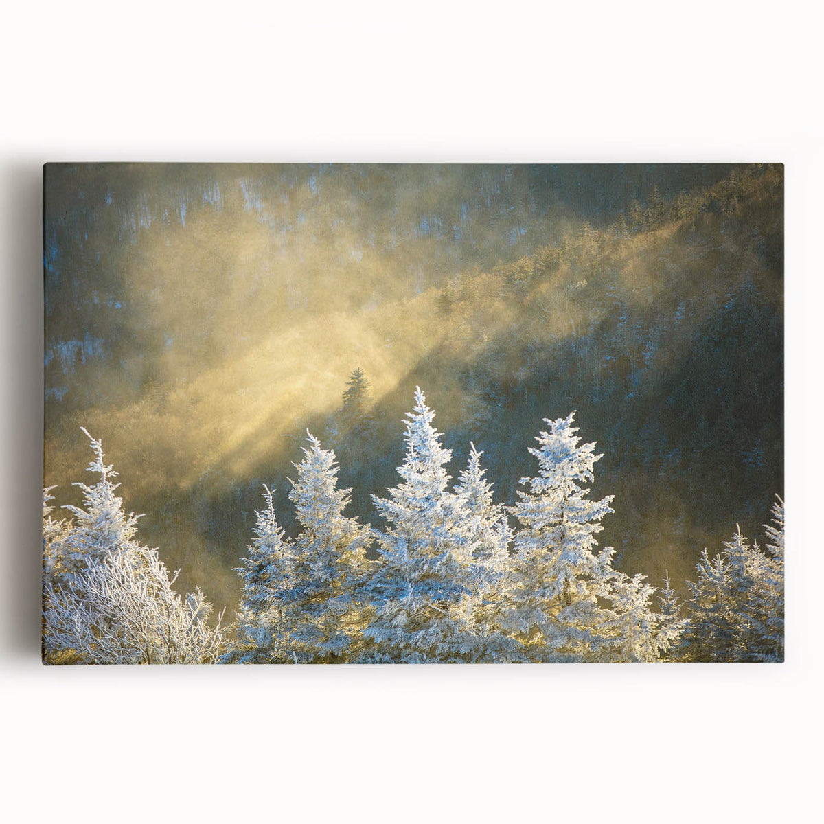 Black and white stretched canvas of the Blue Ridge Mountains in North Carolina, ideal for kitchen wall art.