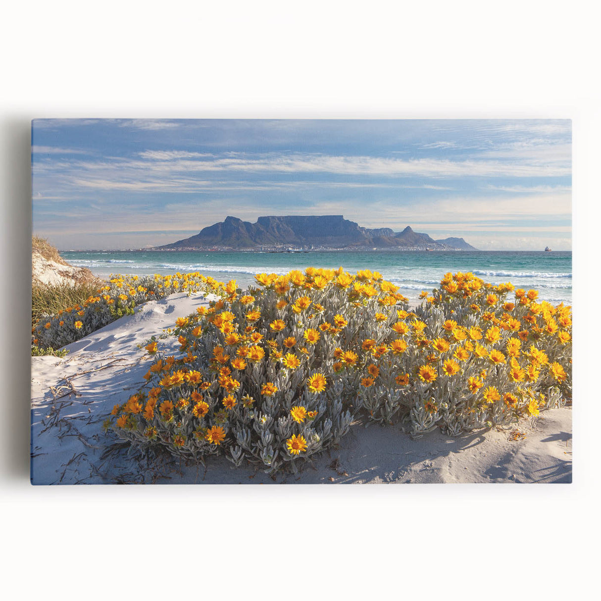 Large black and white stretched canvas featuring an African savannah scene, suitable for kitchen wall art.