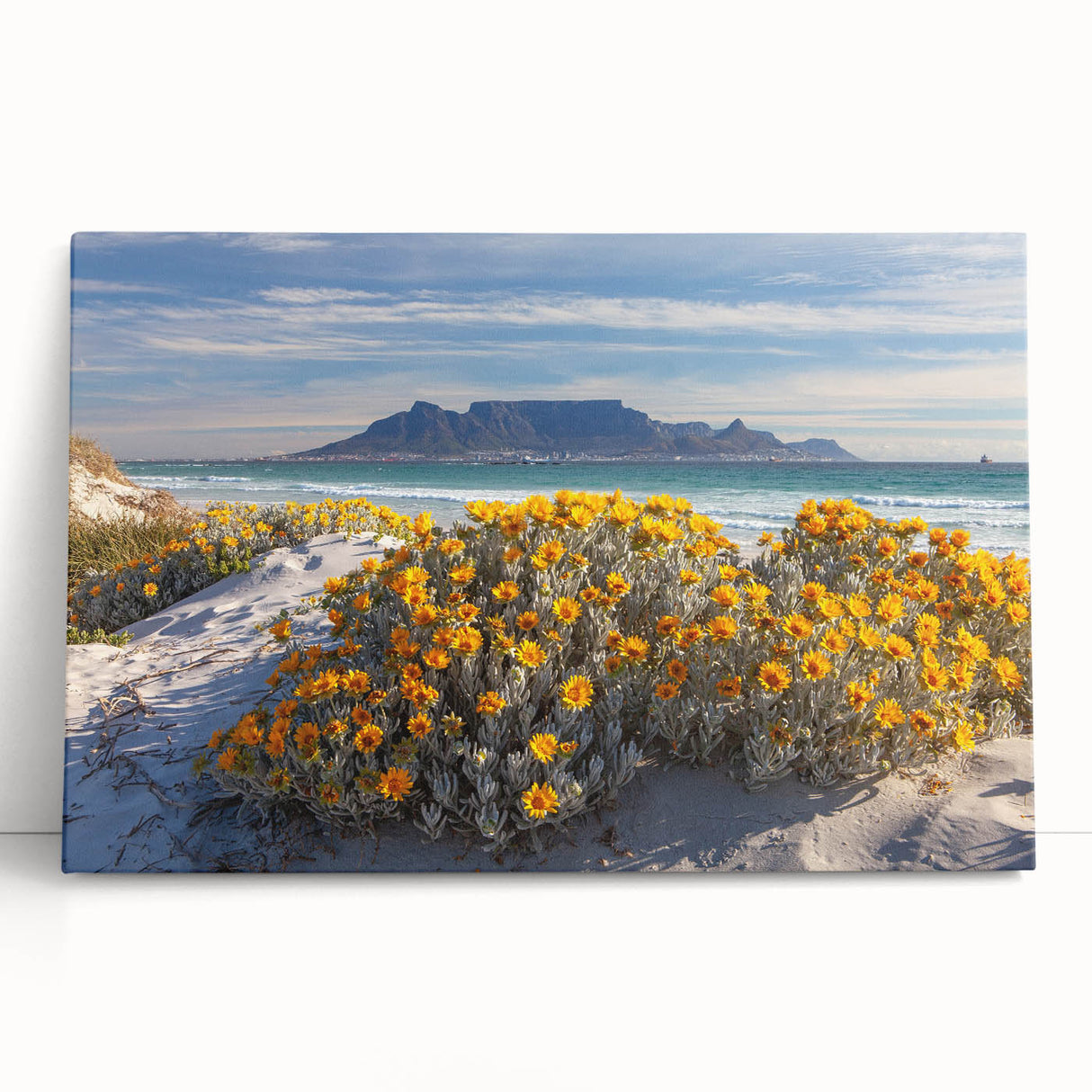 Large black and white stretched canvas featuring a South African landscape, ideal for kitchen wall art or bedroom decor.