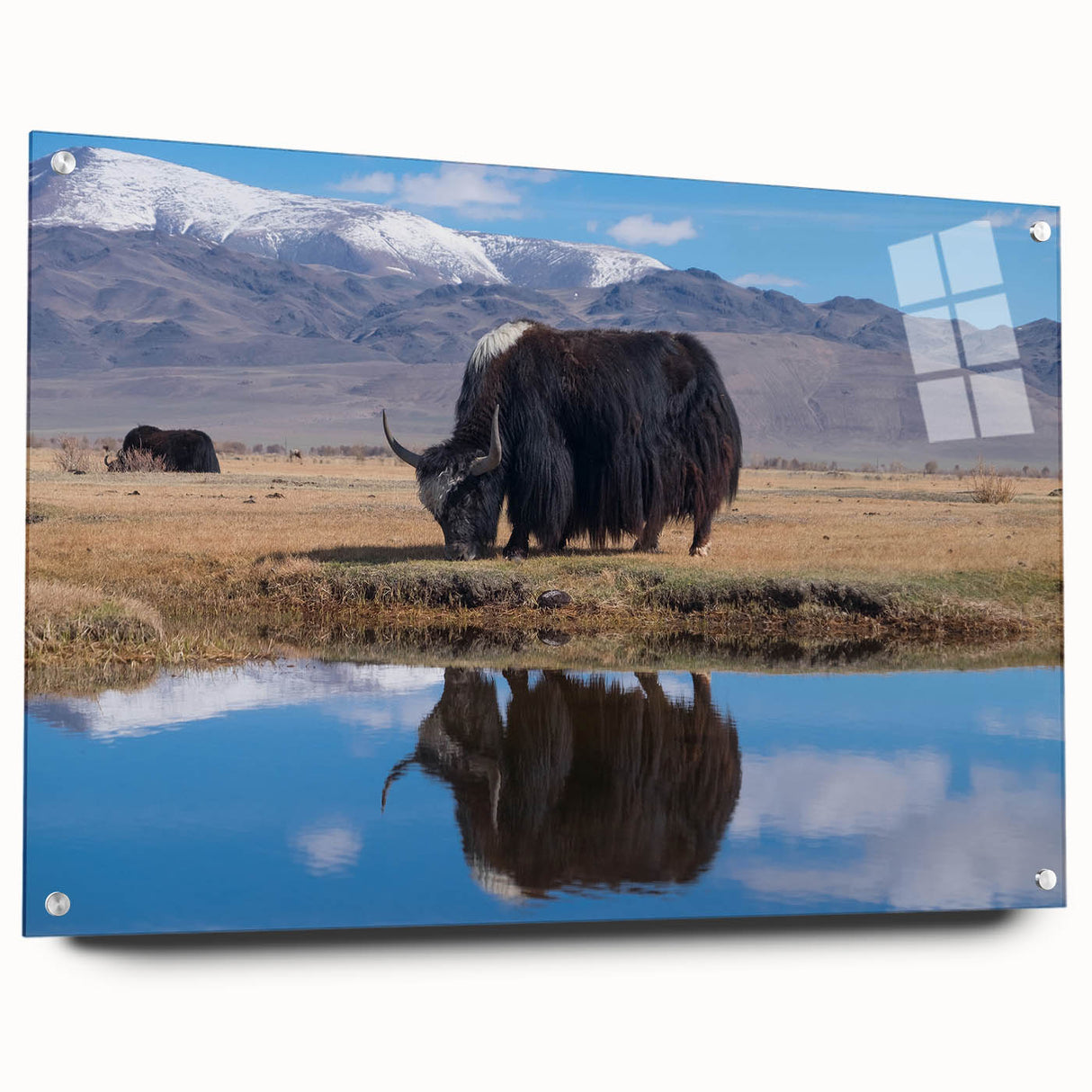 Acrylic print of a Tibetan landscape in muted earth tones, ideal for dining room decor.