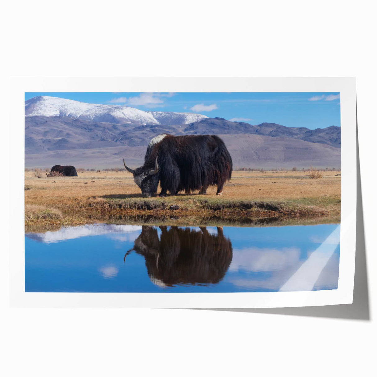 Rolled print of a Tibetan landscape in muted earth tones, ideal for art wall dining room.