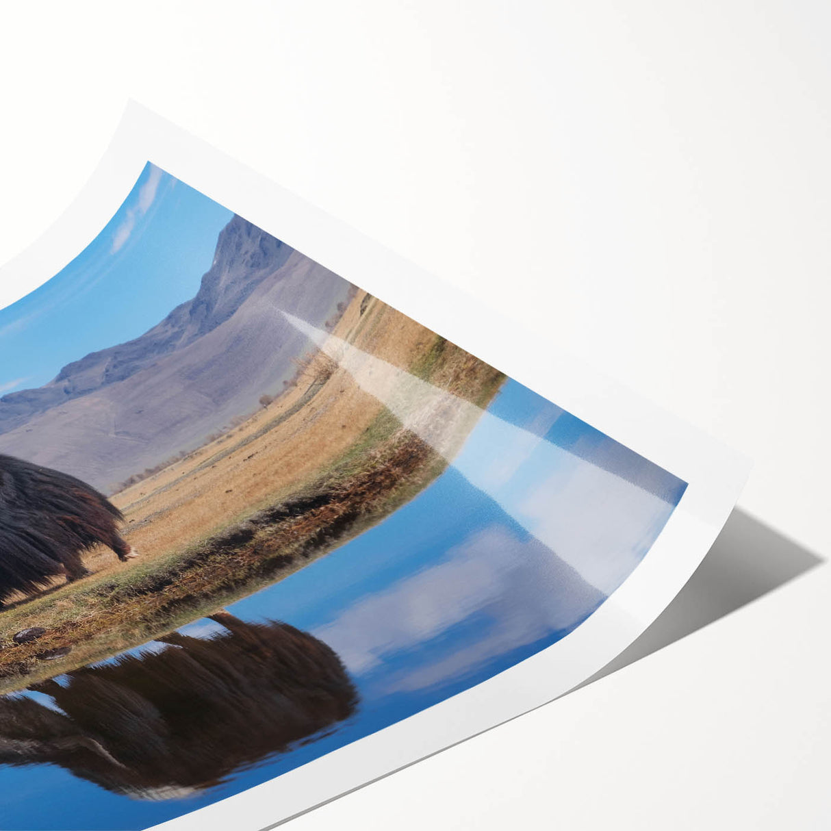 Extra large rolled print featuring line art flowers with vibrant greens and pinks, ideal for large living room wall art.