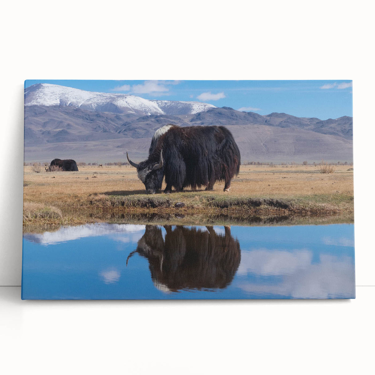Black and white photo of Tibetan landscape on stretched canvas, ideal for kitchen wall art or bedroom ambiance.