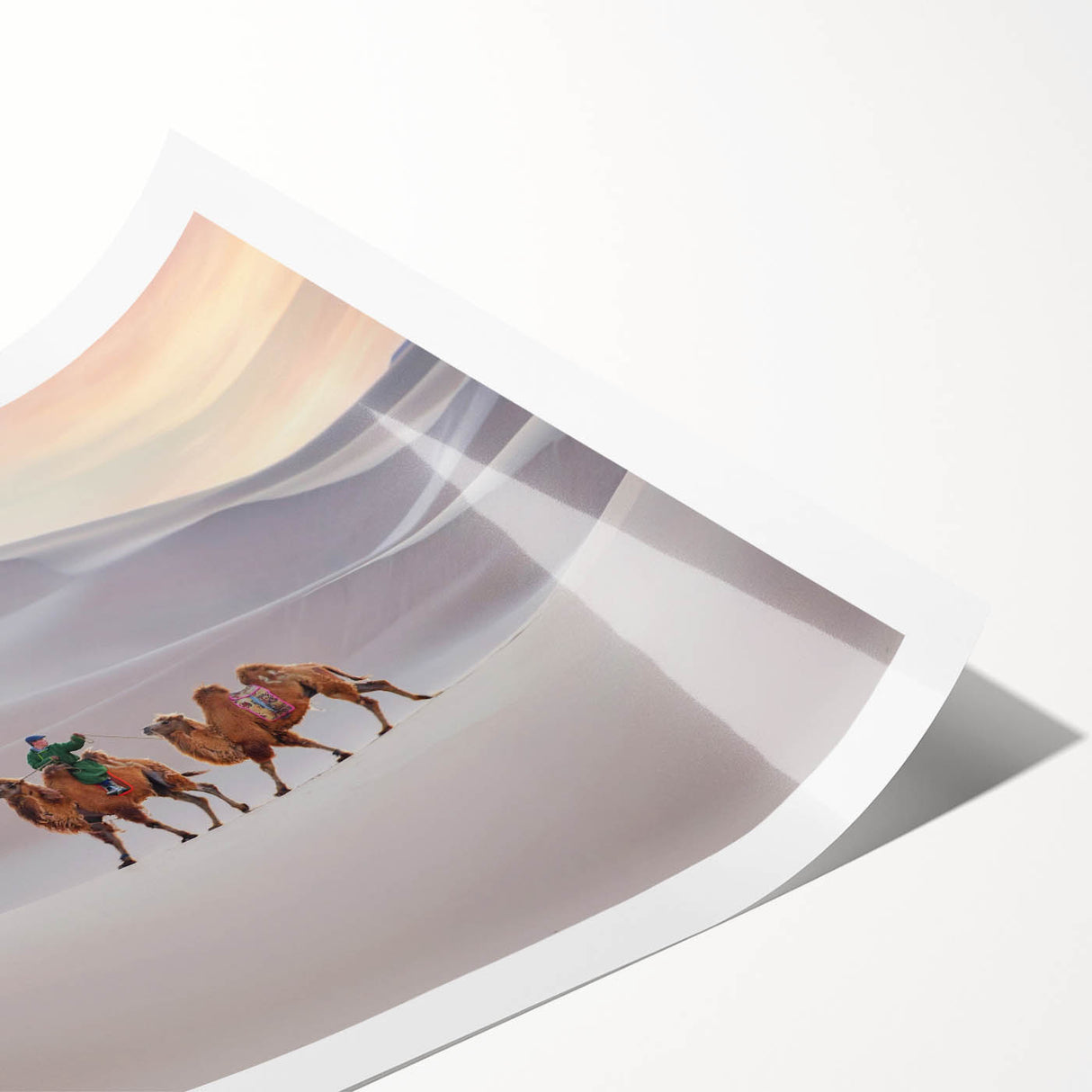 Extra large rolled wall art print featuring line art flowers in neutral tones, ideal for large living room decor.