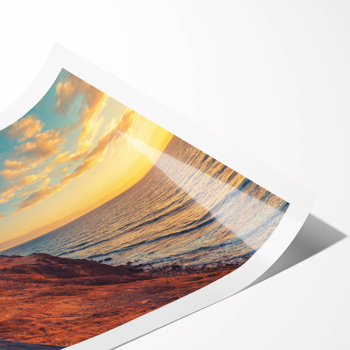 Extra large wall art featuring line art flowers in neutral tones on a rolled canvas, ideal for large living room decor.