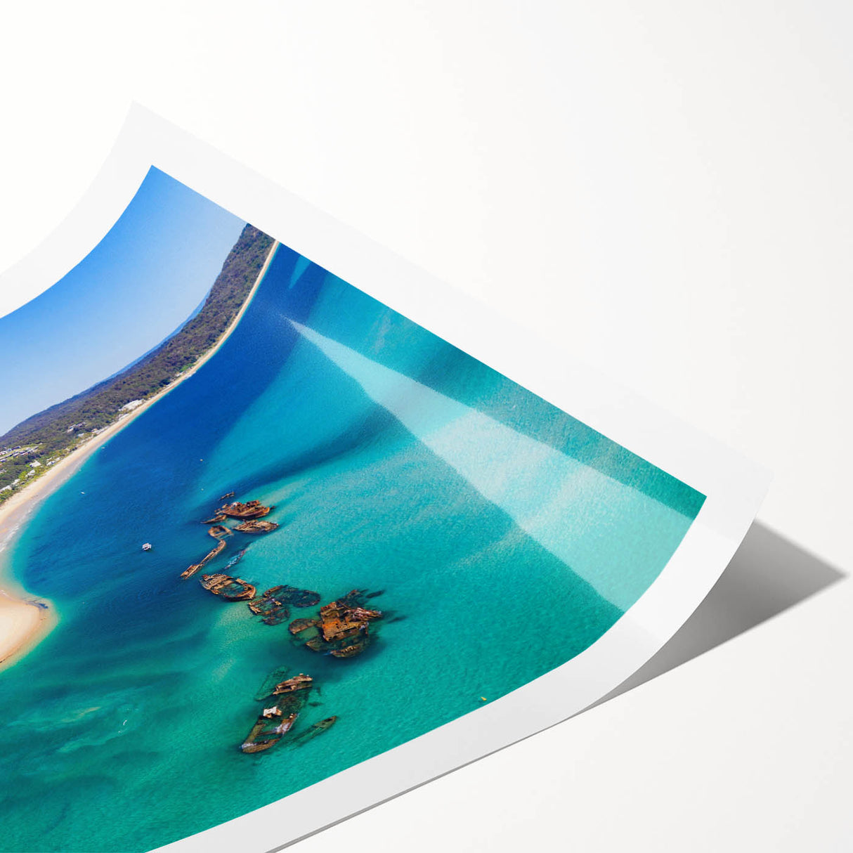 Extra large rolled print featuring line art flowers in muted tones, ideal for large living room wall decor.